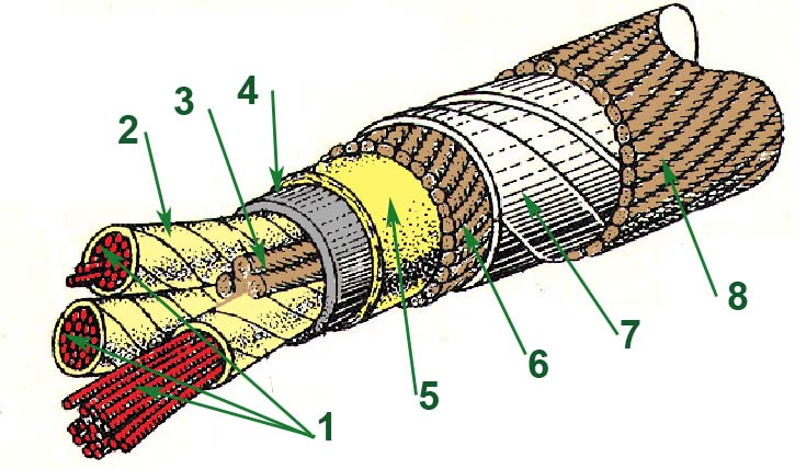 3954